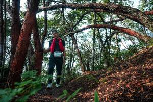 BIB: 
                            <button type="button" onclick="openModal(26344965)" class="btn btn-primary btn-sm float-right btn-popup" data-toggle="modal" data-target=".modal-high-quality">
                        <i class="fas fa-shopping-cart"></i> Add to Cart
                    </button>
                                            <button type="button" onclick="isThisMe(26344965, true)" class="btn btn-success btn-sm float-right btn-popup btn-isme hidden" data-toggle="tooltip" data-placement="bottom" title="นี่คือรูปของคุณใช่ไหม คลิกที่นี่เพื่อเอาเข้าอัลบั้ม">
                        <i class="fas fa-plus"></i> Add to album
                    </button>
                    <button type="button" onclick="isThisMe(26344965, false)" class="btn btn-warning btn-sm float-right btn-popup btn-isnotme hidden">
                        <i class="fas fa-ban"></i> Remove from album
                    </button>